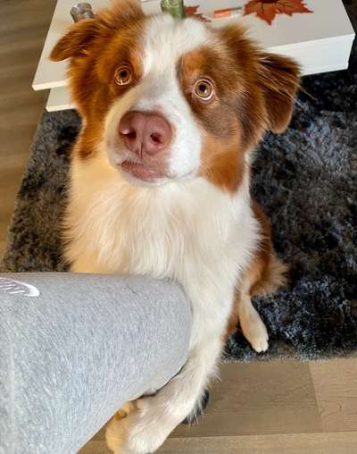 Handy-Foto Challange Nr. 10-Beitrag-Bild