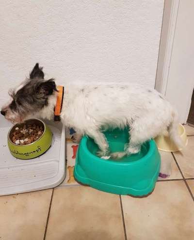 Fotochallenge Nr. 56 - geliebte Senioren-Beitrag-Bild