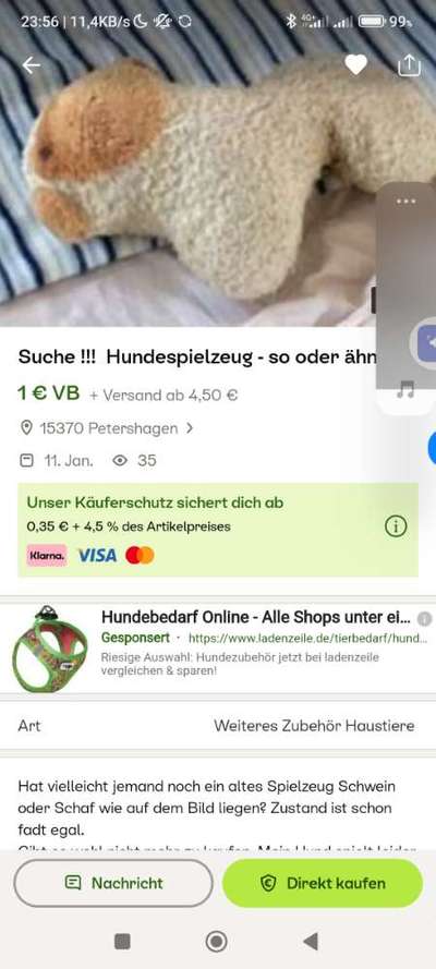 SUCHE !!!-Beitrag-Bild