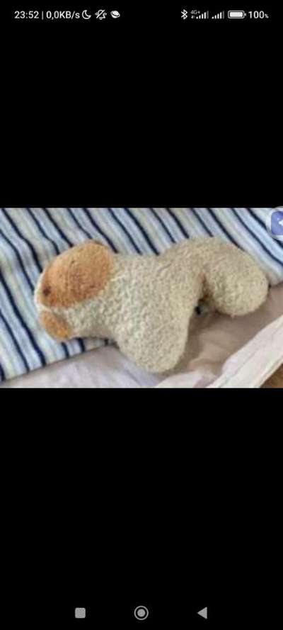 SUCHE !!!-Beitrag-Bild