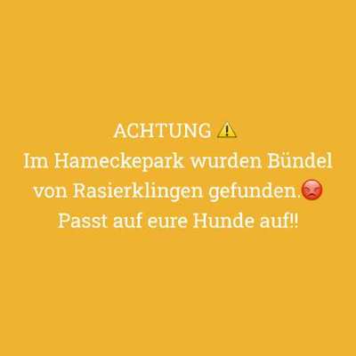 Giftköder-Rasierklingen-Bild