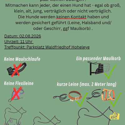 Hundetreffen-Social Walk 🐾-Bild