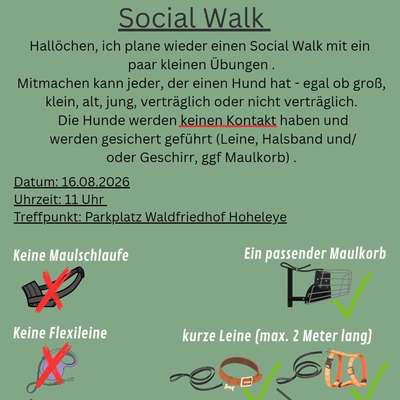 Hundetreffen-Social Walk 🐾-Bild