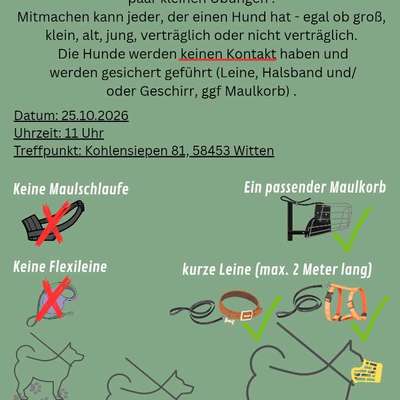 Hundetreffen-Social Walk-Bild