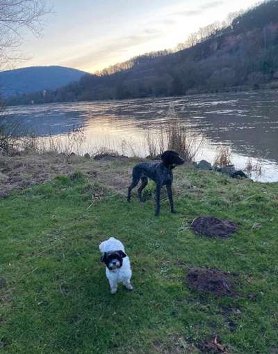 Fotochallenge 69-Beitrag-Bild