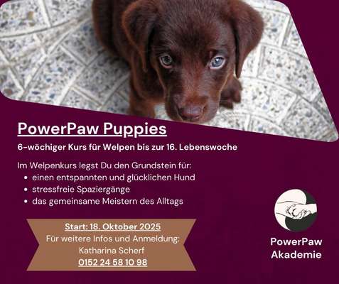 Giftköder-PowerPaw Puppies-Bild