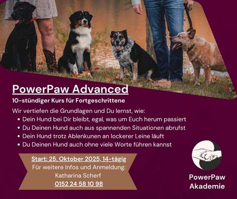 %{de_profession_title}-PowerPaw Advanced-Bild