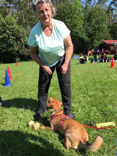 Ayko hat nach mir geschnappt-Beitrag-Bild