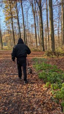 Hundeauslaufgebiet-Deizisau-Bild