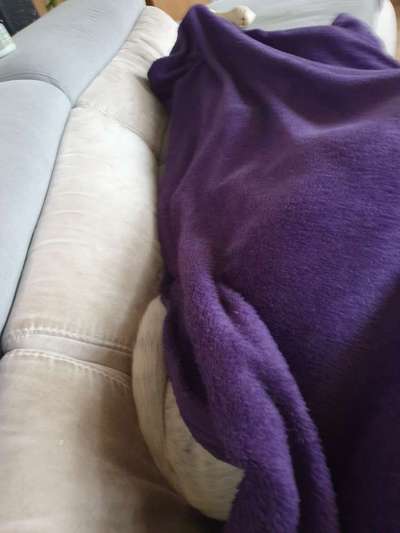 Foto Challenge 112 
ungewöhnliche Schlafplätze-Beitrag-Bild