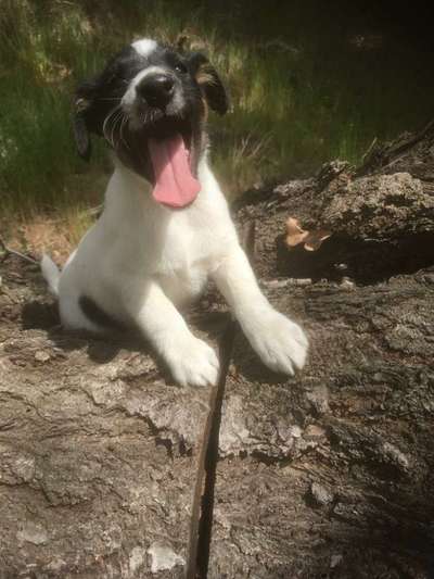 Lieblingsbild-Beitrag-Bild