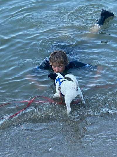 Handyfoto challenge Nr.7-Beitrag-Bild