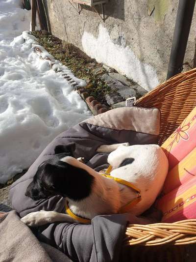 Die unbequemsten und lustigsten Schlafpositionen-Beitrag-Bild