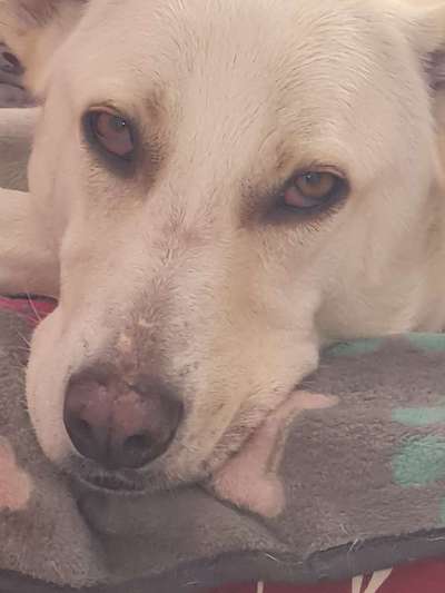 150. Foto Challaenge:  Die Augen, der Spiegel der Seele-Beitrag-Bild