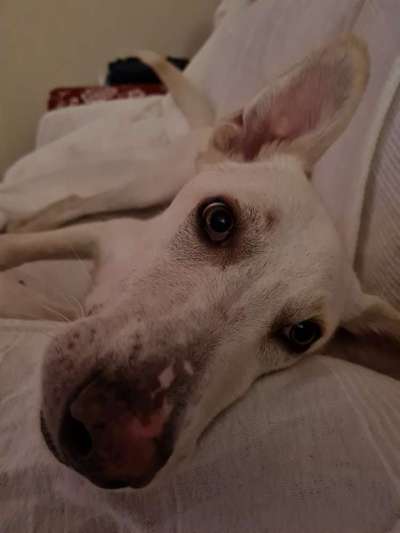 Fotochallange Nr. 57     PORTRÄT.   Beendet!!!!!!!!-Beitrag-Bild