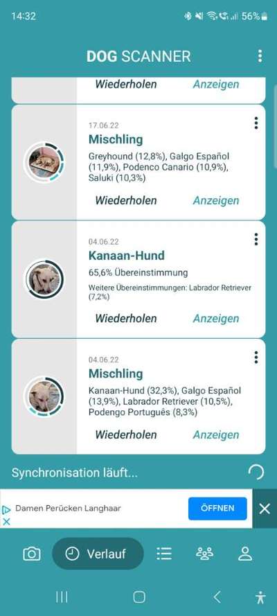 Mischlinge raten - Rätselspaß-Beitrag-Bild