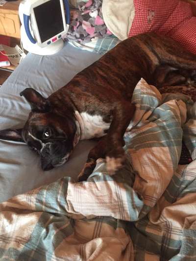 Unsere Sternchen ******-Beitrag-Bild