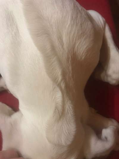 Blick fürs Detail!-Beitrag-Bild