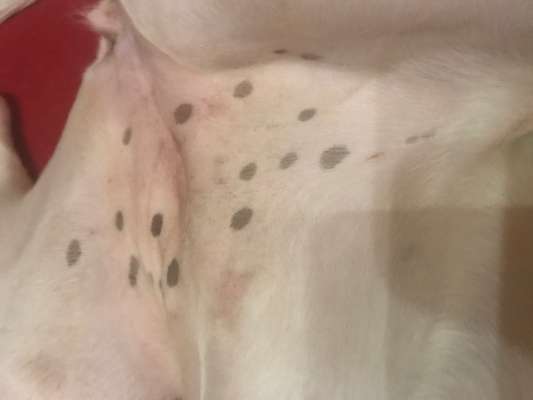 Blick fürs Detail!-Beitrag-Bild