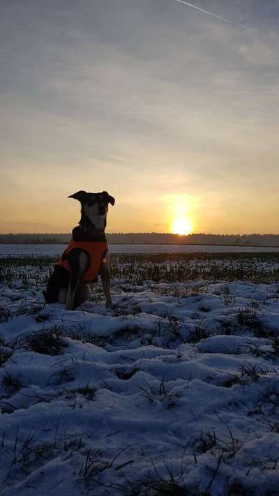 Fotowettbewerb zum Thema "Sonne"-Beitrag-Bild