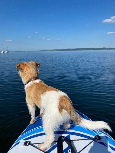 Fotochallenge Nr. 94 It's summer time-Beitrag-Bild