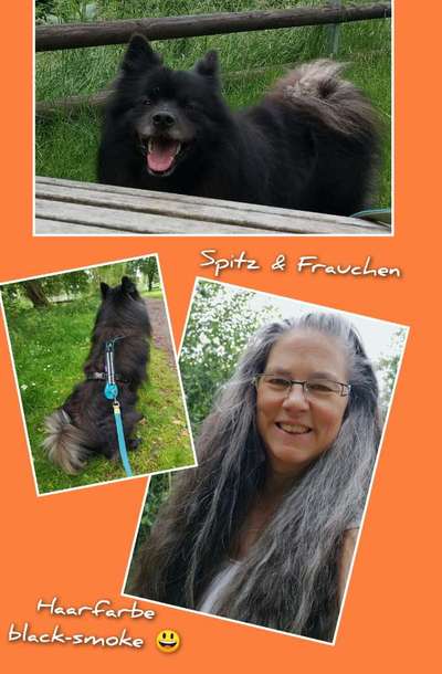 Wie kamst du zu deinem Hund?-Beitrag-Bild