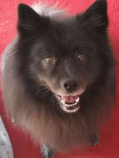 Handy-Foto Challange Nr. 10-Beitrag-Bild