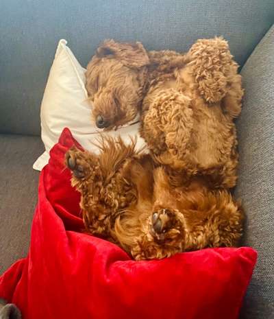 Fotochallenge Nr.65-Beitrag-Bild