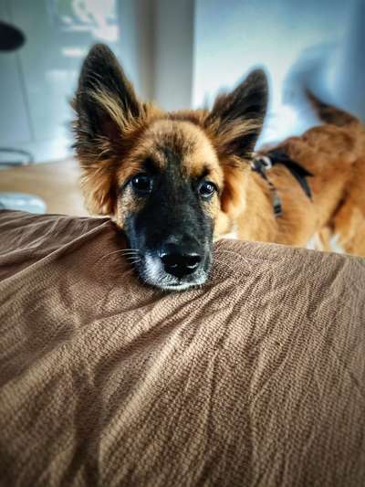 150. Foto Challaenge:  Die Augen, der Spiegel der Seele-Beitrag-Bild