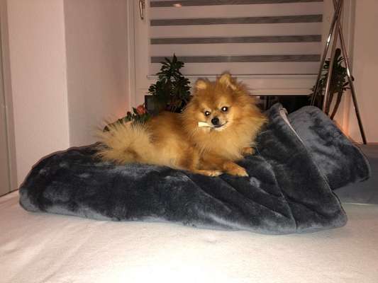 Theos Fotochallenge Nr. 3-Beitrag-Bild