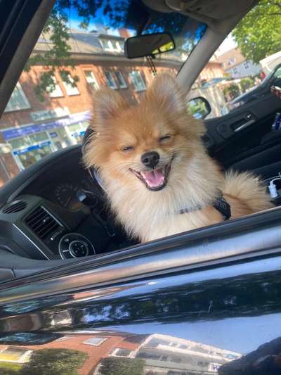 Challenge Nr. 10: "Das schönste Lächeln"-Beitrag-Bild