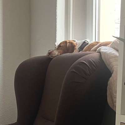 Was hat euch heute gefreut?-Beitrag-Bild