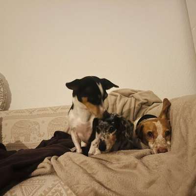 Was hat euch heute gefreut?-Beitrag-Bild