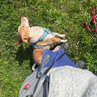 Was hat euch heute gefreut?-Beitrag-Bild