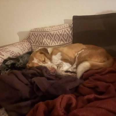 Was hat euch heute gefreut?-Beitrag-Bild