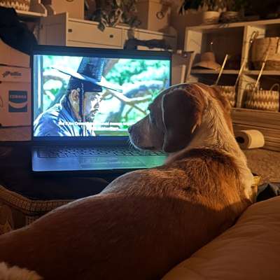 Was hat euch heute mit eurem Hund gefreut?-Beitrag-Bild