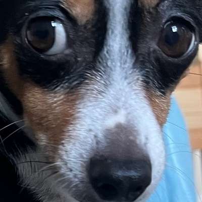 Freddys Kummerkasten-Beitrag-Bild