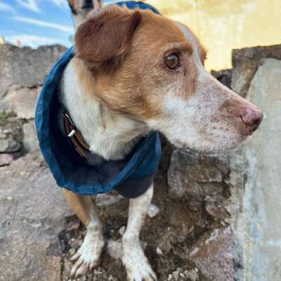 Was hat euch heute gefreut?-Beitrag-Bild