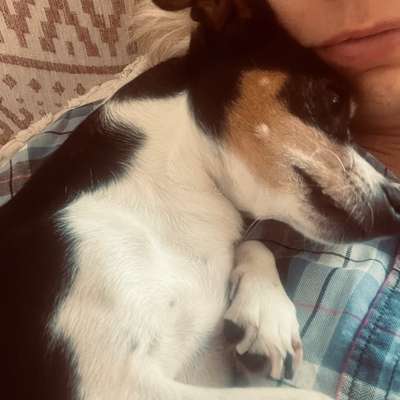 Was hat euch heute mit eurem Hund gefreut?-Beitrag-Bild