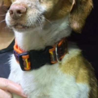 Was hat euch heute gefreut?-Beitrag-Bild