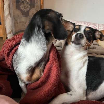 Was hat euch heute gefreut?-Beitrag-Bild