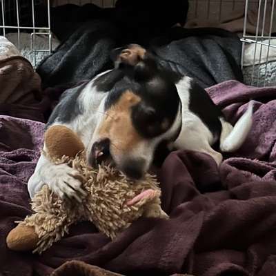 Freddys Kummerkasten-Beitrag-Bild