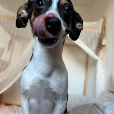 Was hat euch heute gefreut?-Beitrag-Bild