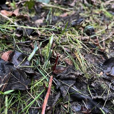 Was hat euch heute gefreut?-Beitrag-Bild