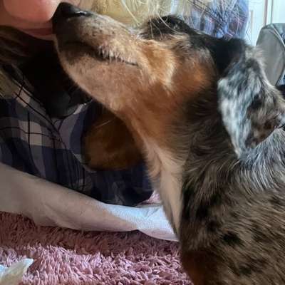 Was hat euch heute mit eurem Hund gefreut?-Beitrag-Bild