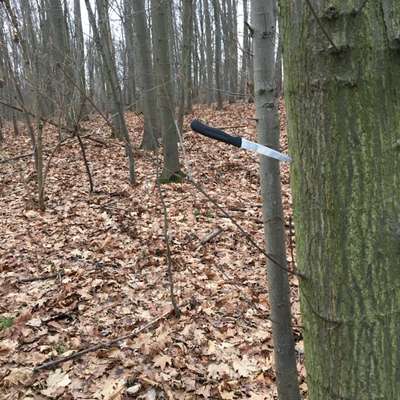 Die besten Gassifunde-Beitrag-Bild