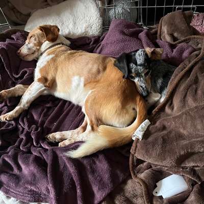 Was hat euch heute gefreut?-Beitrag-Bild