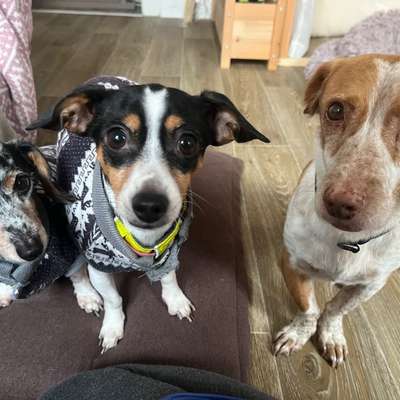 Was hat euch heute gefreut?-Beitrag-Bild