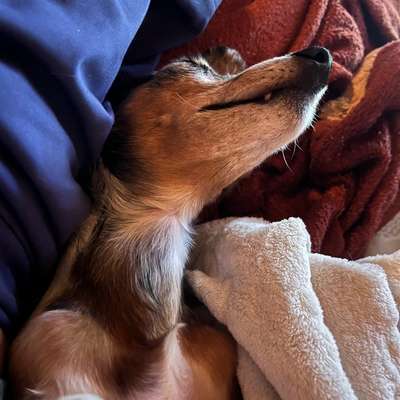 Was hat euch heute gefreut?-Beitrag-Bild