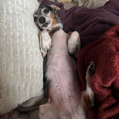 Was hat euch heute gefreut?-Beitrag-Bild